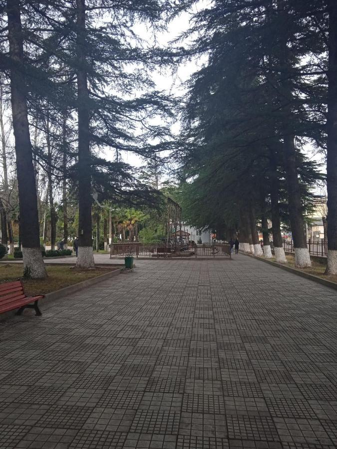 Apartament Silence Kutaisi Zewnętrze zdjęcie